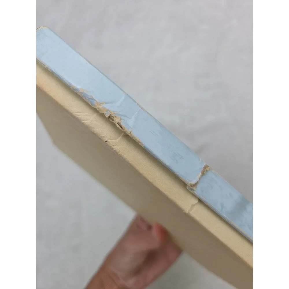 Vtg French Room Super Sheer Sandal Foot DOVE Garter Nylon Stockings Size 9 M
